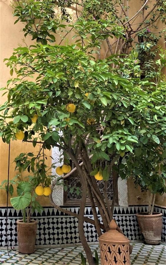 Riad Khol Bohemia Marraquexe Exterior foto